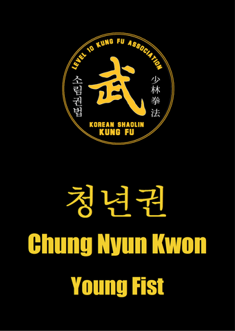 02 Chung Nyun Kwon/Ching Nian Quan (Young Fist)