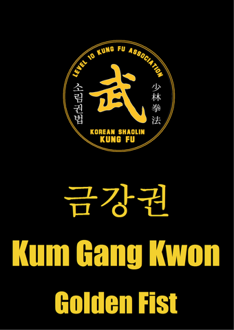 08 Kum Gang Kwon/Jin Gang Quan (Golden Fist)