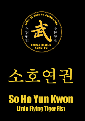 12 So Ho Yun Kwon/Xiao Hu Yan Quan (Little Flying Tiger Fist)