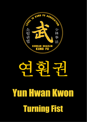 04 Yun Hwan Kwon/Lian Huan Quan (Turning/Connecting Fist)