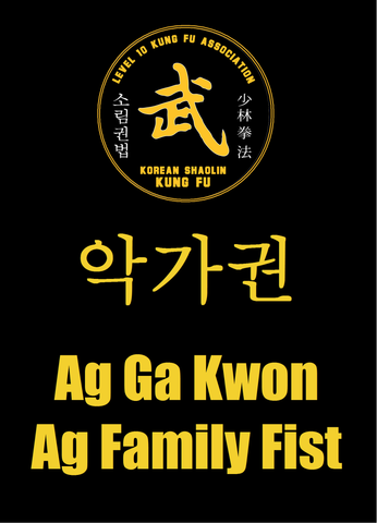 05 Ag Ga Kwon/Yue Jia Quan (Ag/Yue Family Fist)