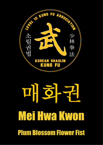 07 Mei Hwa Kwon/Mei Hua Quan (Plum Blossom Flower Fist)