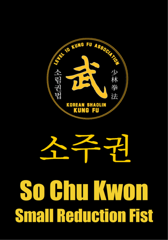 03 So Chu Kwon/Shao Zuo Quan (Small Reduction Fist)